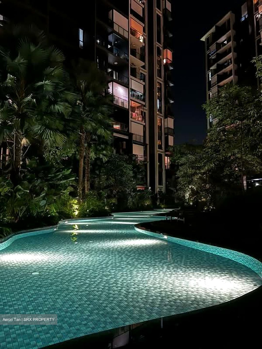 Park Colonial (D13), Condominium #539449721